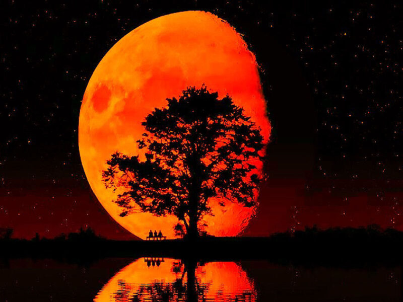 Hình ảnh trăng máu đẹp, lạ