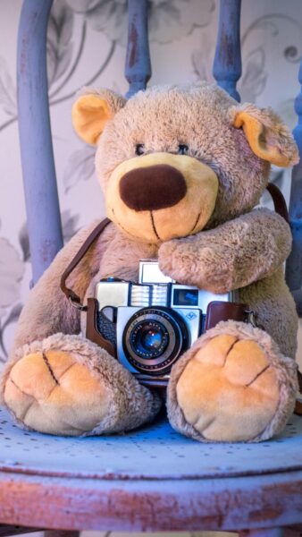 Hình nền gấu ôm máy ảnh