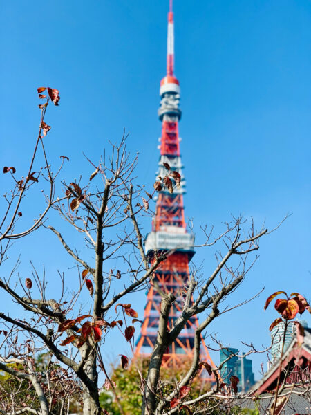 Hình nền tháp Tokyo cho điện thọia