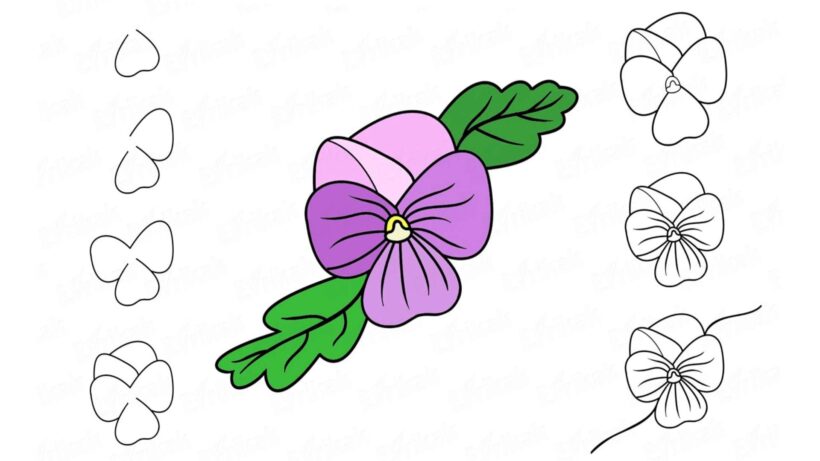 Hình vẽ cách vẽ bông hoa cho học sinh