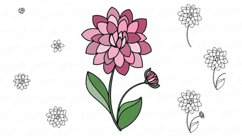 Hình vẽ cách vẽ bông hoa đẹp mà đơn giản