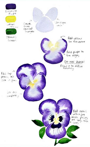 Hình vẽ cách vẽ bông hoa lan