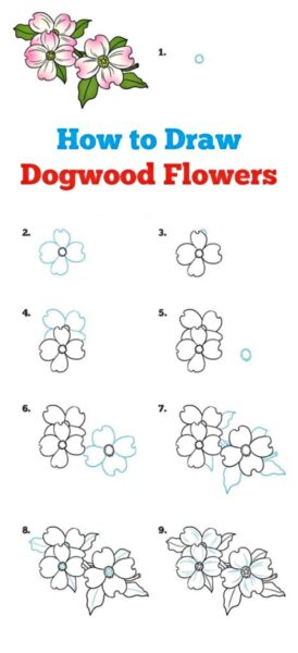 Hình vẽ cách vẽ bông hoa mõm chó