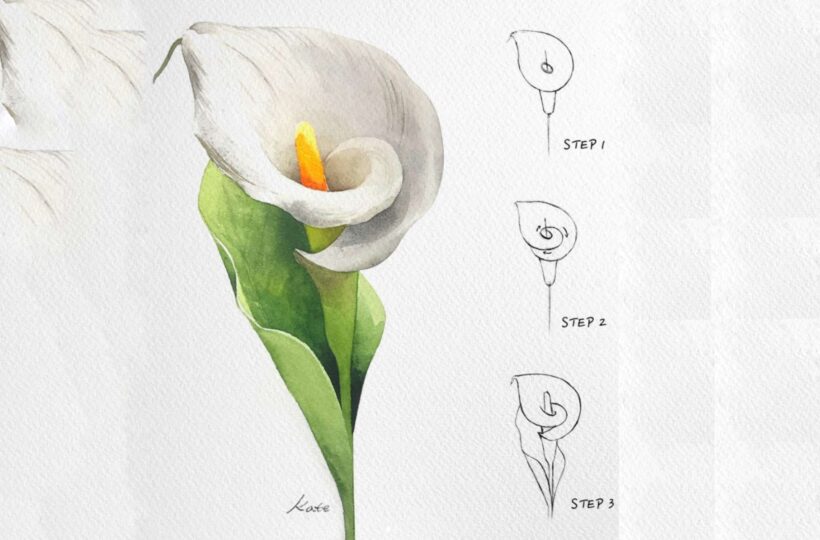 Hình vẽ cách vẽ bông hoa thủy vu