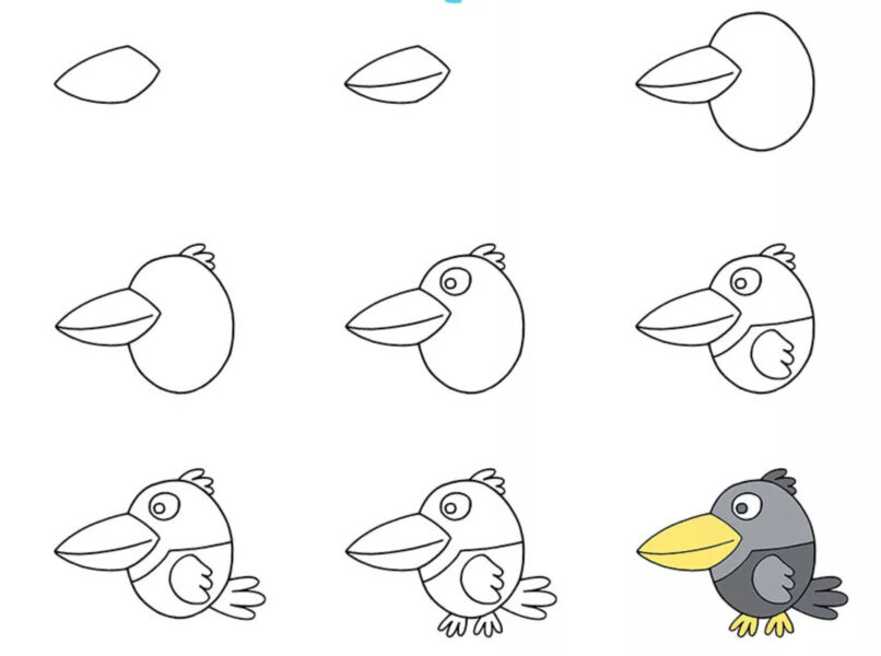 Hình vẽ cách vẽ con vật con chim