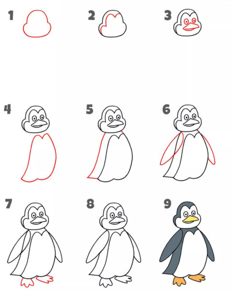 Hình vẽ cách vẽ con vật con chim cánh cụt