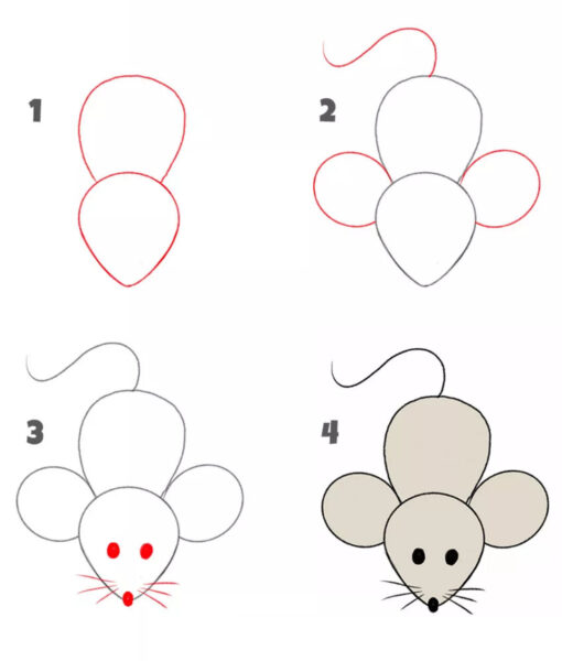 Hình vẽ cách vẽ con vật con chuột nhắt