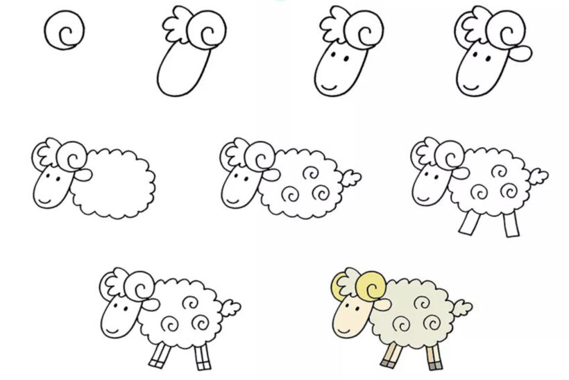 Hình vẽ cách vẽ con vật con cừu