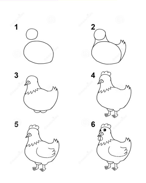 Hình vẽ cách vẽ con vật con gà