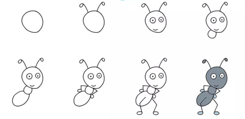 Hình vẽ cách vẽ con vật con kiến