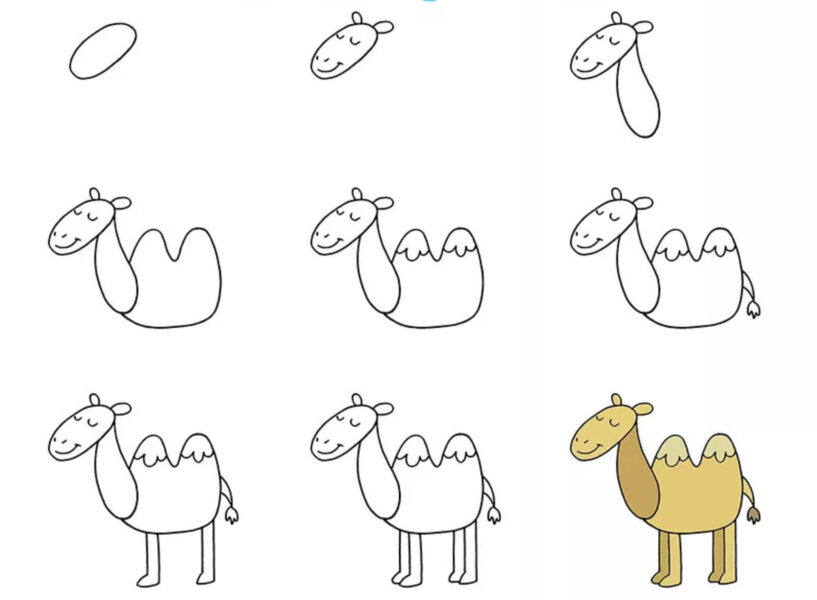 Hình vẽ cách vẽ con vật con lạc đà