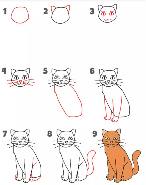 Hình vẽ cách vẽ con vật con mèo