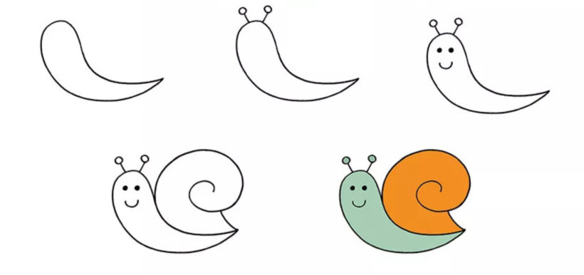 Hình vẽ cách vẽ con vật con ốc sên
