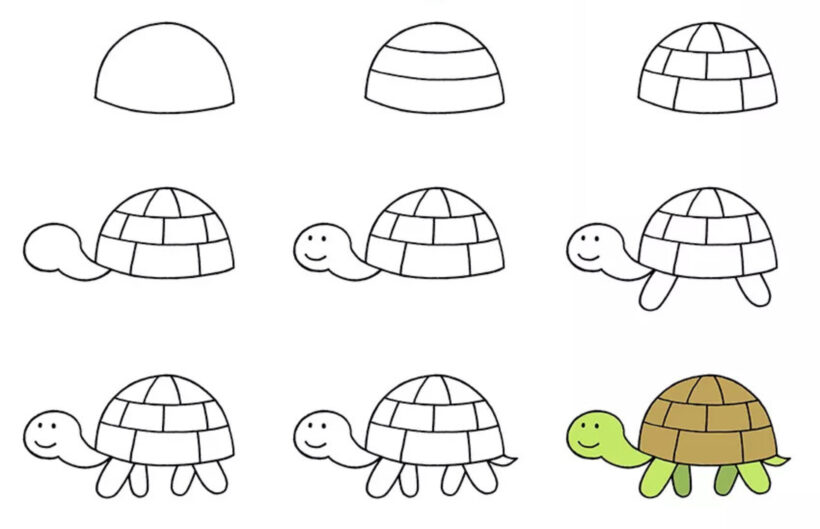 Hình vẽ cách vẽ con vật con rùa