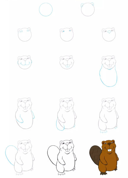 Hình vẽ cách vẽ con vật con sóc