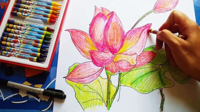 Hình vẽ cách vẽ hoa sen bằng màu sáp