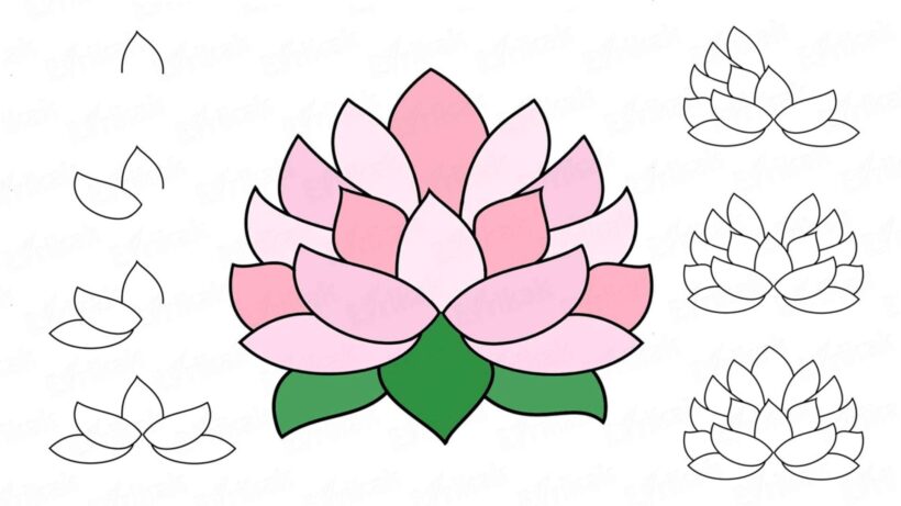 Hình vẽ cách vẽ hoa sen đơn giản