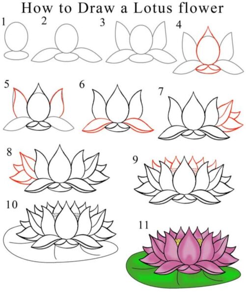 Hình vẽ cách vẽ hoa sen đơn giản nhất