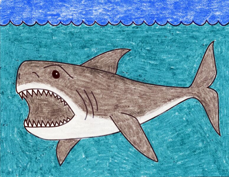 Cách vẽ con cá mập