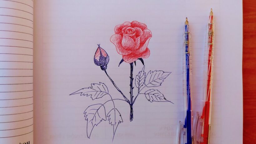 Cách vẽ hoa Hồng đơn giản