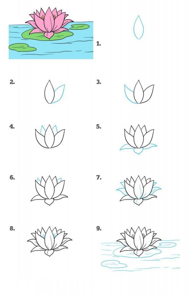 Cẩm nang Cách vẽ hoa sen đơn giản bằng bút chì Dành cho người mới học