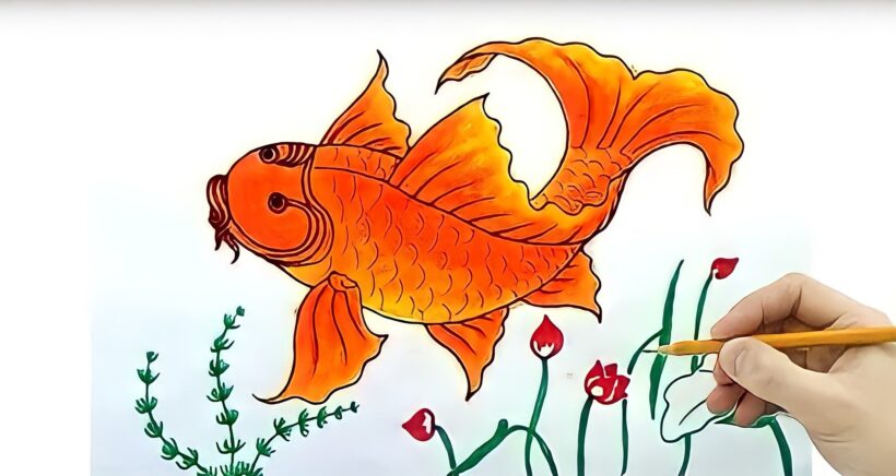 Hình vẽ cá chép, cách vẽ cá chép vàng