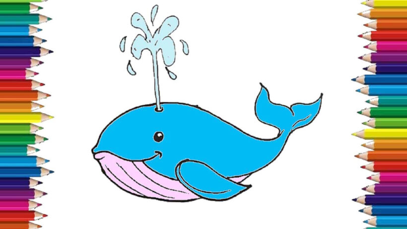 Hình vẽ cách vẽ con vật con cá voi