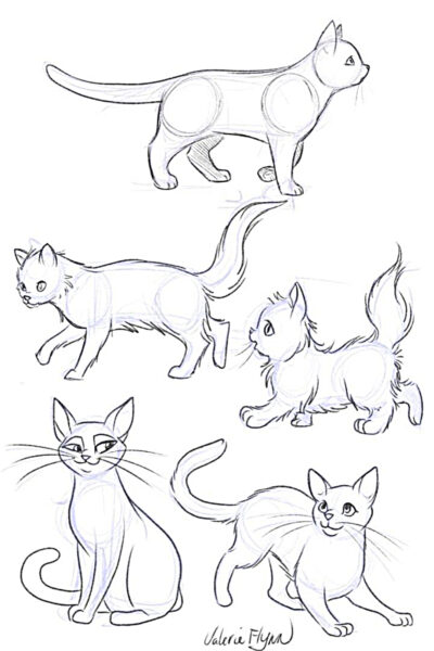 Hình vẽ cách vẽ mèo cơ bản