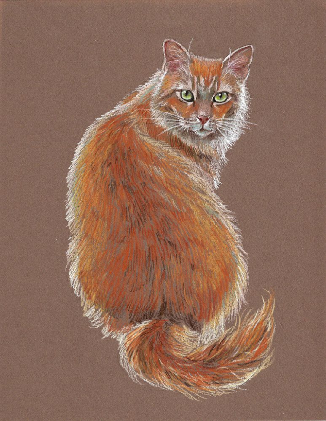 Кот рисунок цветной. Кошка пастелью. Рисунки животных пастелью. Карандаши цветные "животные". Кошка цветными карандашами.
