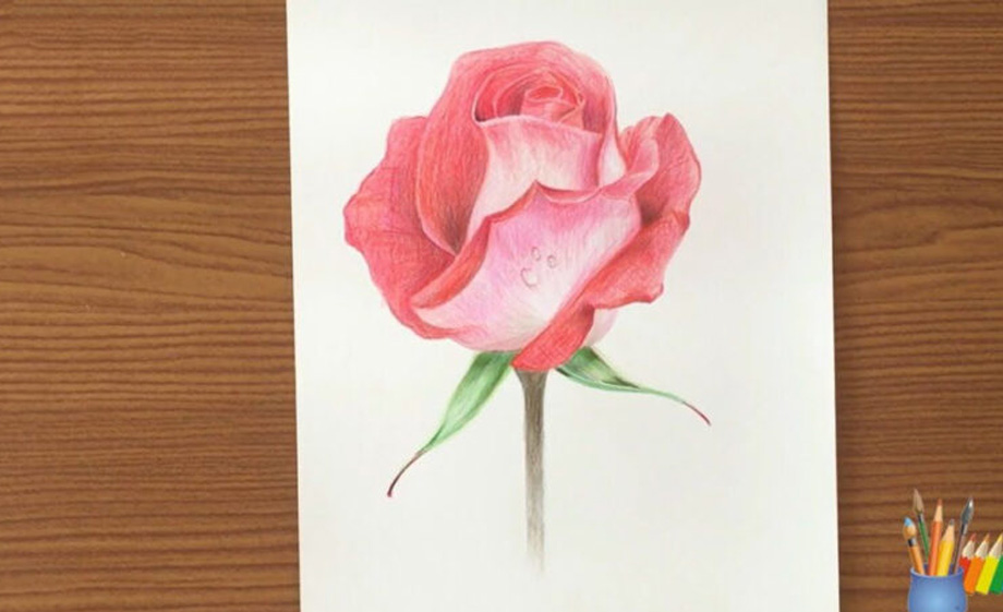 20 mẫu tranh 3D hoa hồng cho bạn lựa chọn  Tranh in uv khổ lớn