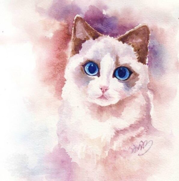 Hình vẽ mèo bằng màu nước