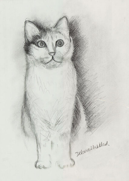 Hình vẽ mèo đơn giản bằng bút chì