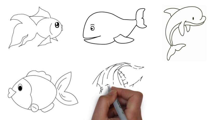 Vẽ các loài cá