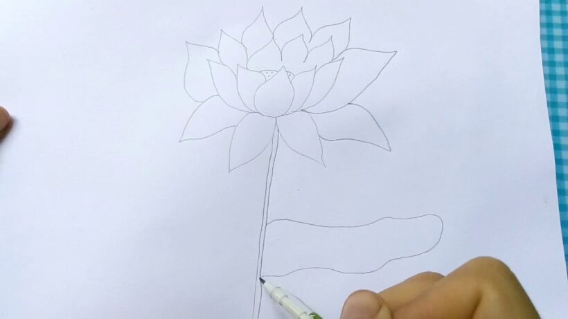 Vẽ hoa Sen đơn giản