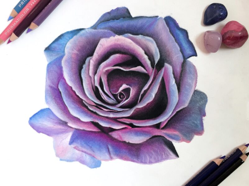 cách vẽ hoa hồng ấn tượng