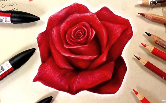 cách vẽ hoa hồng đẹp và đơn giản nhất