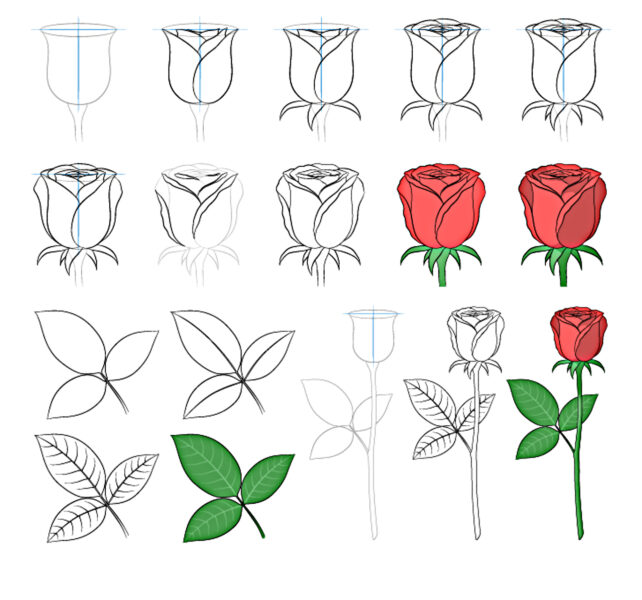 cách vẽ hoa hồng đơn giản