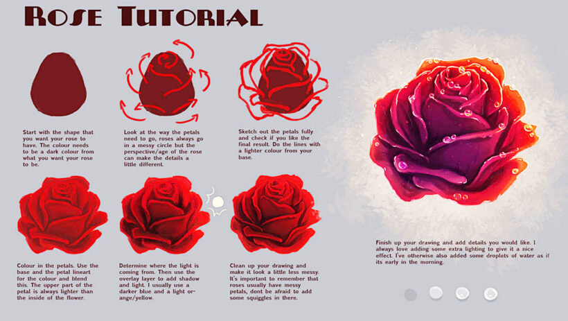 cách vẽ hoa hồng quế