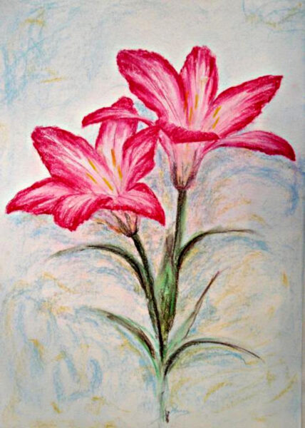 cách vẽ hoa ly, hoa loa kèn bằng sáp màu