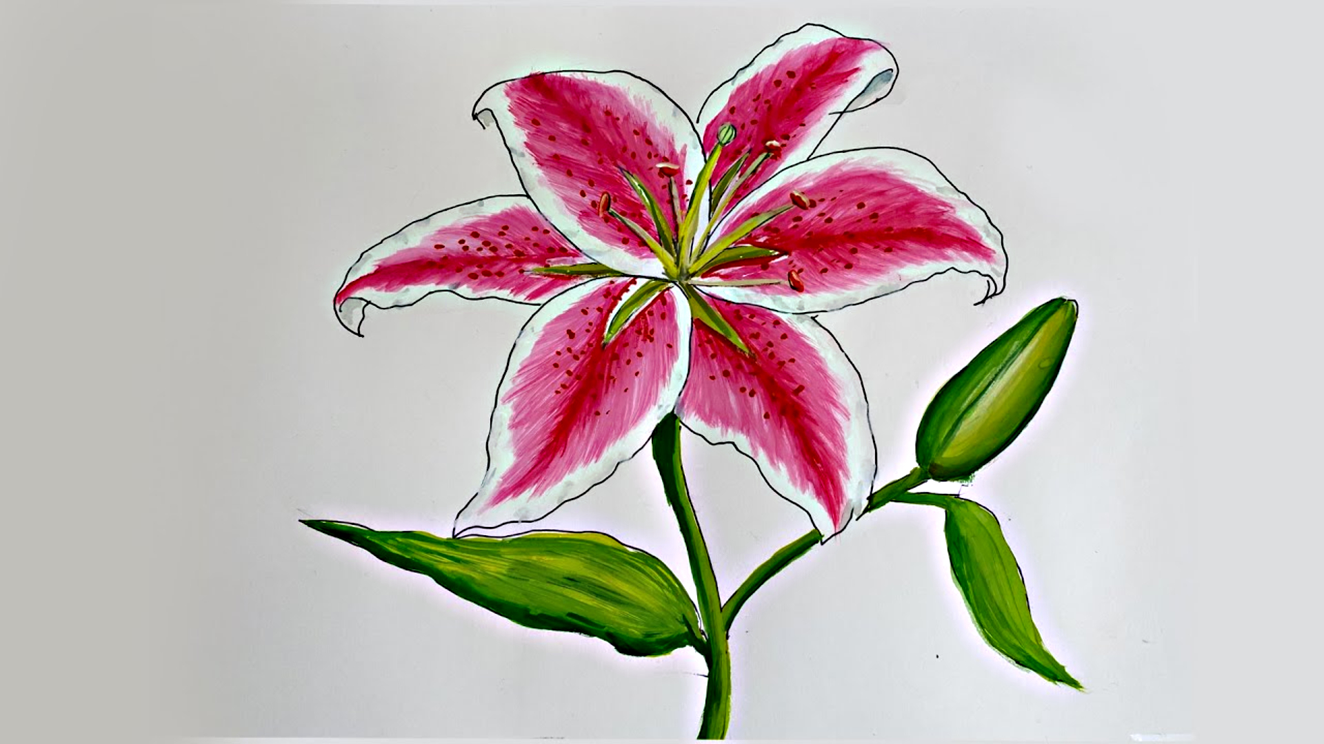 Bài tập cách vẽ hoa ly đơn giản bằng bút chì cho người mới học vẽ trang trí