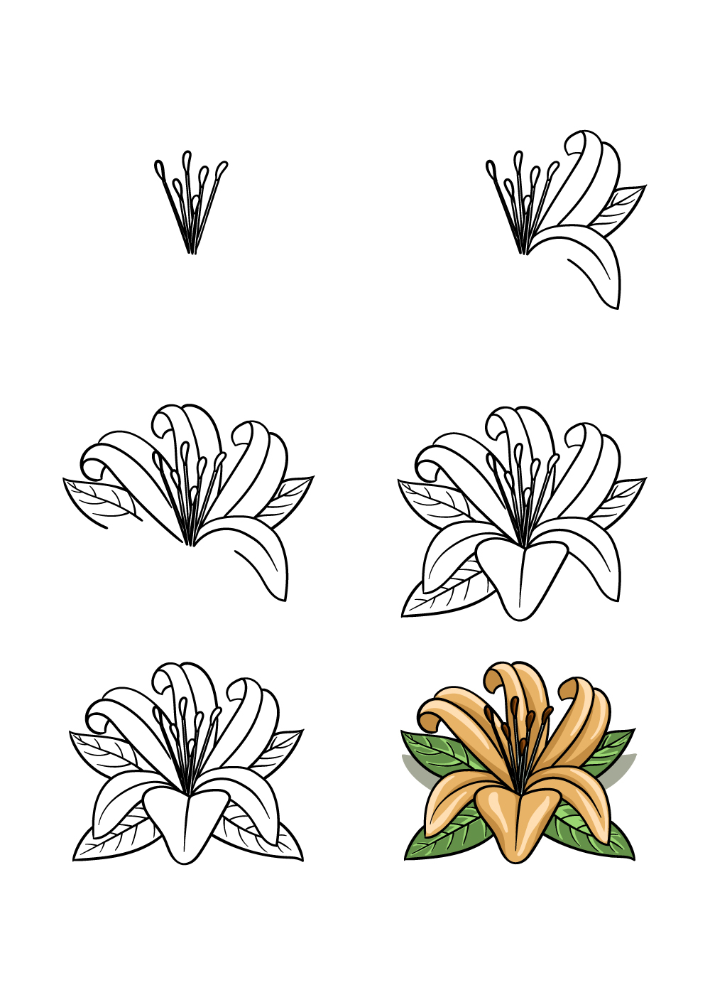 Những Cách Vẽ Hoa Ly, Hoa Loa Kèn Đơn Giản, Đẹp Nhất