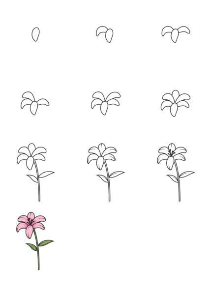 cách vẽ hoa ly, hoa loa kèn từng bước cơ bản