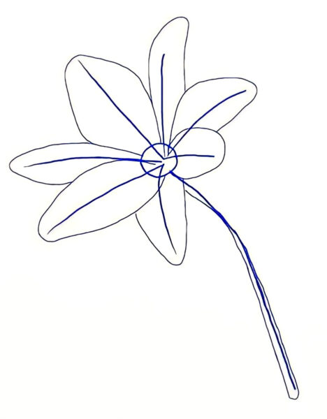 vẽ cánh hoa