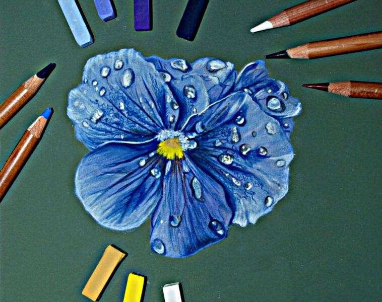 cách vẽ hoa violet (xanh) cơ bản