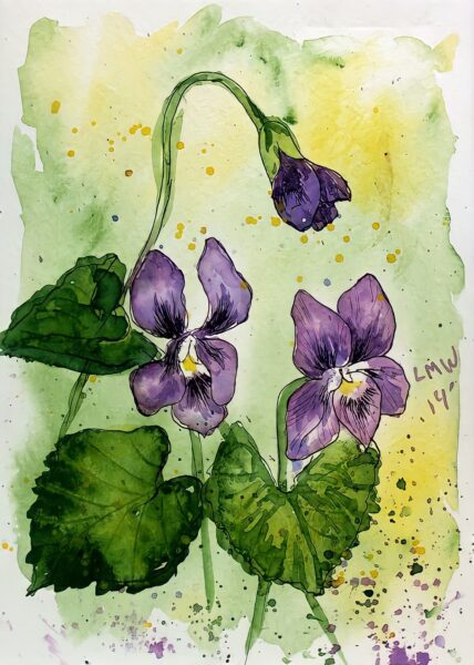 cách vẽ hoa violet (xanh) đẹp nhất