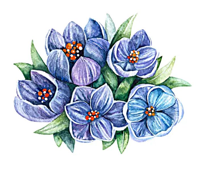 cách vẽ hoa violet (xanh) đẹp nhất