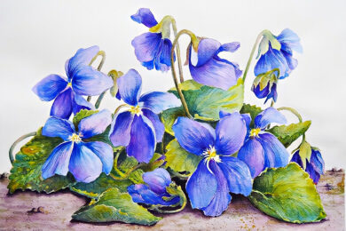 cách vẽ hoa violet (xanh) đẹp thanh tao, đơn giản nhất