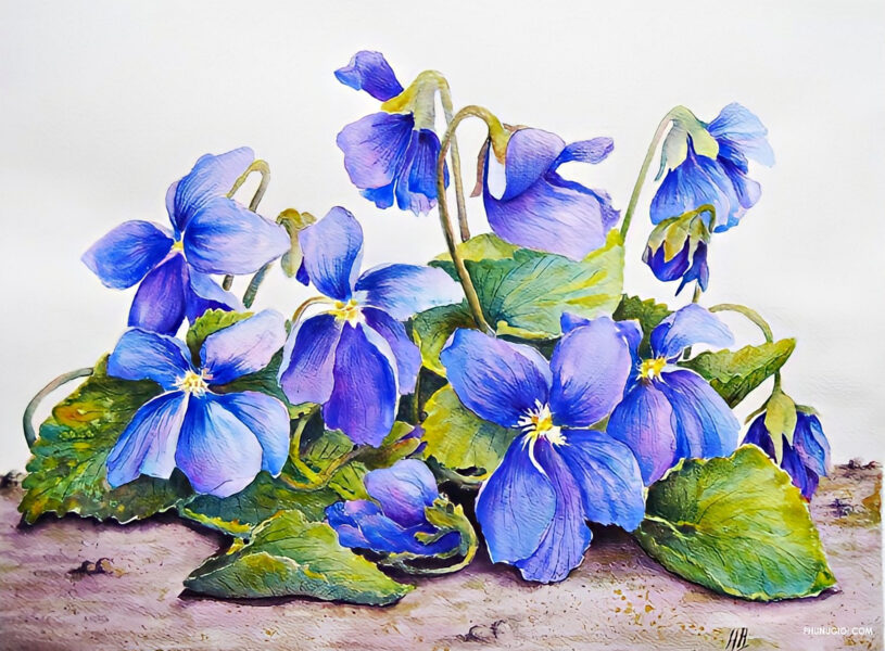 cách vẽ hoa violet (xanh) đẹp thanh tao, đơn giản nhất
