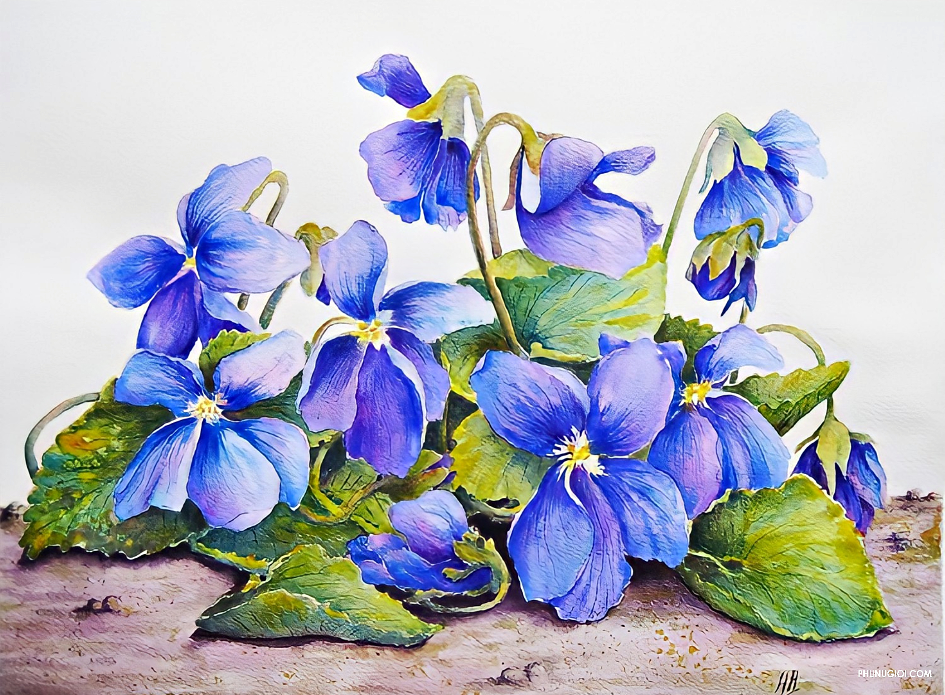 Cách vẽ hoa Violet màu xanh đơn giản, đẹp, dễ thực hiện