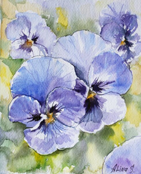 cách vẽ hoa violet (xanh) tươi tắn